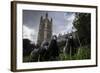 Feral Pigeons (Columba Livia) Outside the Houses of Parliament in Westminster. London, UK-Sam Hobson-Framed Photographic Print