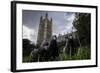 Feral Pigeons (Columba Livia) Outside the Houses of Parliament in Westminster. London, UK-Sam Hobson-Framed Photographic Print