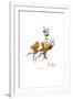 Gramercy White