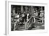 Ferdinand De Lesseps (1805-1894) and His Retinue Visiting the Works of Panama Canal., 1887-null-Framed Giclee Print