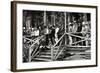 Ferdinand De Lesseps (1805-1894) and His Retinue Visiting the Works of Panama Canal., 1887-null-Framed Giclee Print