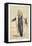 Ferdinand De Lesseps, French Diplomat and Entrepreneur, 1869-null-Framed Stretched Canvas