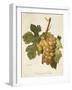 Ferdinand De Lesseps Grape-A. Kreyder-Framed Giclee Print