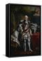 Ferdinand Duke of Brunswick-Lueneburg Attired as Knight of the Garter, C.1763-Johann Georg Ziesenis-Framed Stretched Canvas