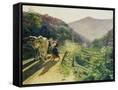 Canvas Black