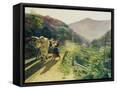 Framed Canvas