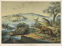 Animals and Plants of the Jurassic Era in Europe-Ferdinand Von Hochstetter-Framed Stretched Canvas