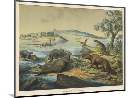 Photographic Print, , large
