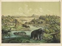 Animals and Plants of the Triassic Era in Germany-Ferdinand Von Hochstetter-Art Print