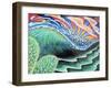 Ferdo-Martin Nasim-Framed Giclee Print