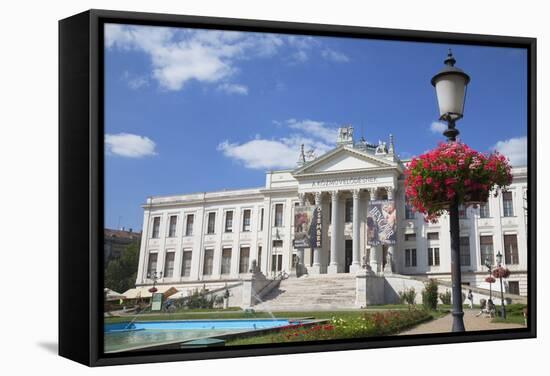 Ferenc Mora Museum, Szeged, Southern Plain, Hungary, Europe-Ian Trower-Framed Stretched Canvas