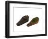 Ferengi Hand Scanners, Props Made for 'Star Trek: Deep Space Nine', C.1993-null-Framed Giclee Print