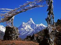 Santa Cruz Province, Cerro Fitzroy, in the Los Glaciares National Park, Framed by Trees, Argentina-Fergus Kennedy-Photographic Print