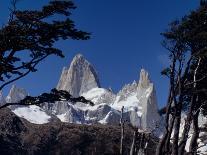 Santa Cruz Province, Cerro Fitzroy, in the Los Glaciares National Park, Framed by Trees, Argentina-Fergus Kennedy-Photographic Print