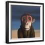 Fergus Monkey, 2017,-Peter Jones-Framed Giclee Print