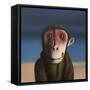 Fergus Monkey, 2017,-Peter Jones-Framed Stretched Canvas