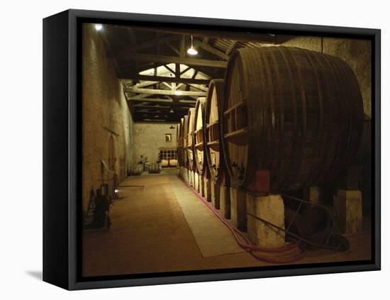 Fermentation Vats in Winery, Domaine Saint Martin De La Garrigue, Montagnac-Per Karlsson-Framed Stretched Canvas