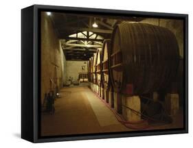 Fermentation Vats in Winery, Domaine Saint Martin De La Garrigue, Montagnac-Per Karlsson-Framed Stretched Canvas