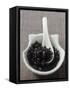 Fermented Black Beans in a Small Dish-Eising Studio - Food Photo and Video-Framed Stretched Canvas