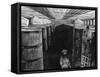 Fermenting Cellar in an American Brewery, 1885-null-Framed Stretched Canvas