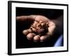 Fermenting Cocoa Beans at the Aqua Izé Cocoa Plant in Saotomé and Principé-Camilla Watson-Framed Photographic Print