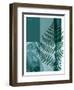 Fern 02-Flora Danica-Framed Art Print