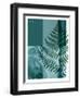 Fern 02-Flora Danica-Framed Art Print