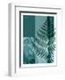 Fern 02-Flora Danica-Framed Art Print