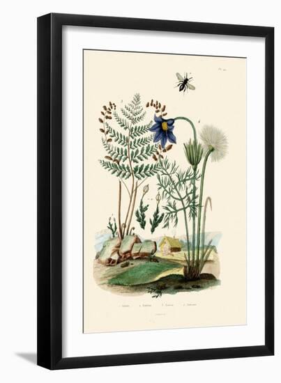 Fern, 1833-39-null-Framed Giclee Print