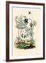 Fern, 1833-39-null-Framed Giclee Print