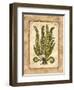 Fern 1-Robin Betterley-Framed Giclee Print