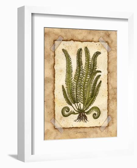 Fern 1-Robin Betterley-Framed Giclee Print