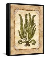 Fern 1-Robin Betterley-Framed Stretched Canvas