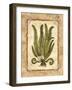 Fern 1-Robin Betterley-Framed Giclee Print