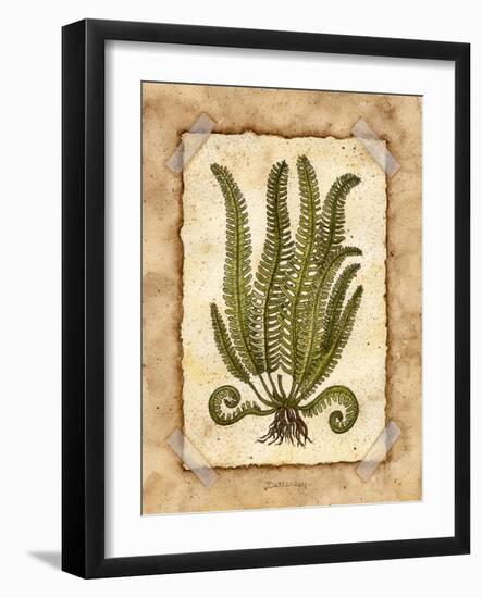 Fern 1-Robin Betterley-Framed Giclee Print