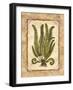 Fern 1-Robin Betterley-Framed Giclee Print