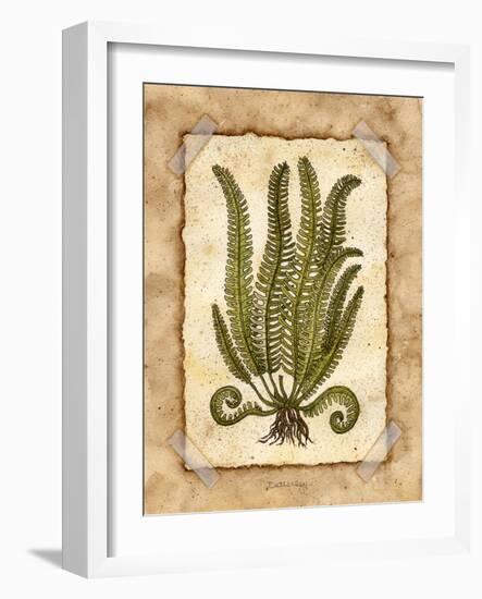 Fern 1-Robin Betterley-Framed Giclee Print