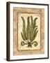 Fern 1-Robin Betterley-Framed Giclee Print