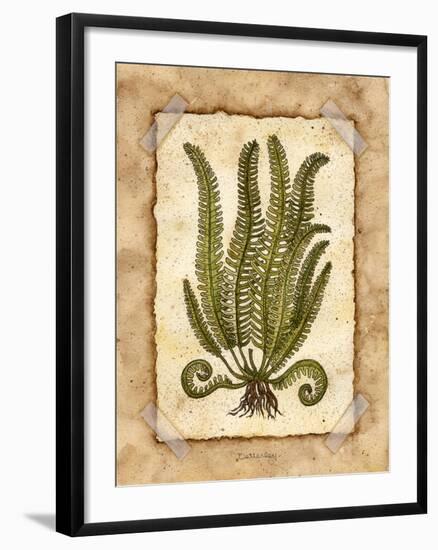 Fern 1-Robin Betterley-Framed Giclee Print