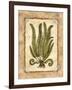 Fern 1-Robin Betterley-Framed Giclee Print