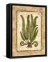 Fern 1-Robin Betterley-Framed Stretched Canvas