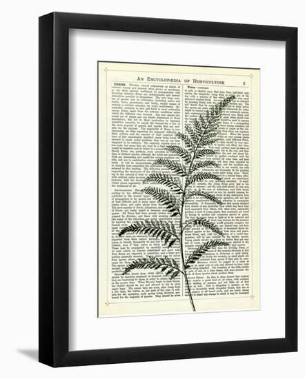 Fern 2-Marion Mcconaghie-Framed Art Print