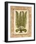 Fern 2-Robin Betterley-Framed Giclee Print