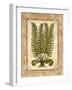 Fern 2-Robin Betterley-Framed Giclee Print