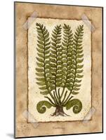 Fern 2-Robin Betterley-Mounted Giclee Print