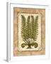 Fern 2-Robin Betterley-Framed Giclee Print