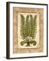 Fern 2-Robin Betterley-Framed Giclee Print