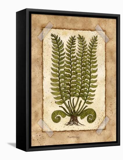 Fern 2-Robin Betterley-Framed Stretched Canvas