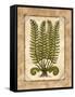 Fern 2-Robin Betterley-Framed Stretched Canvas