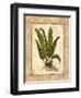 Fern 3-Robin Betterley-Framed Giclee Print